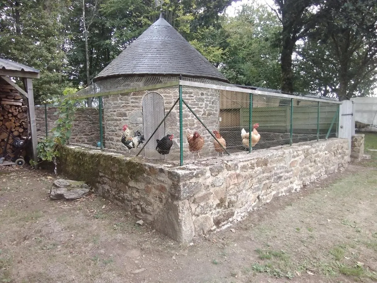 Les Gites Du Grenit La Chapelle-Neuve  France